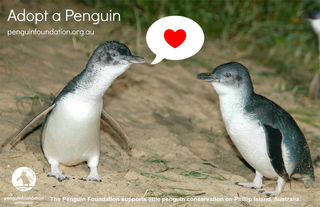 Illustration for article titled Love a penguin!